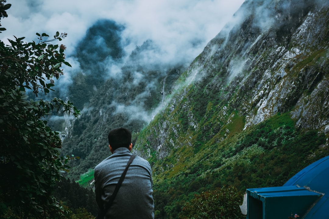 Jungle photo spot Ghangaria - Valley of Flowers Trek Route India