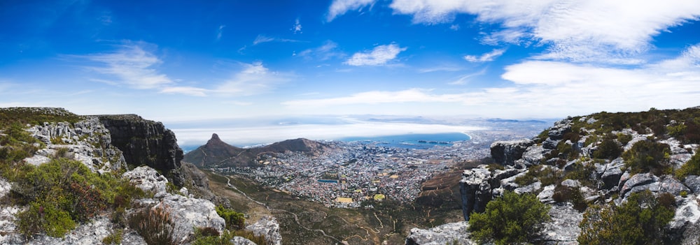 aerial photo of city