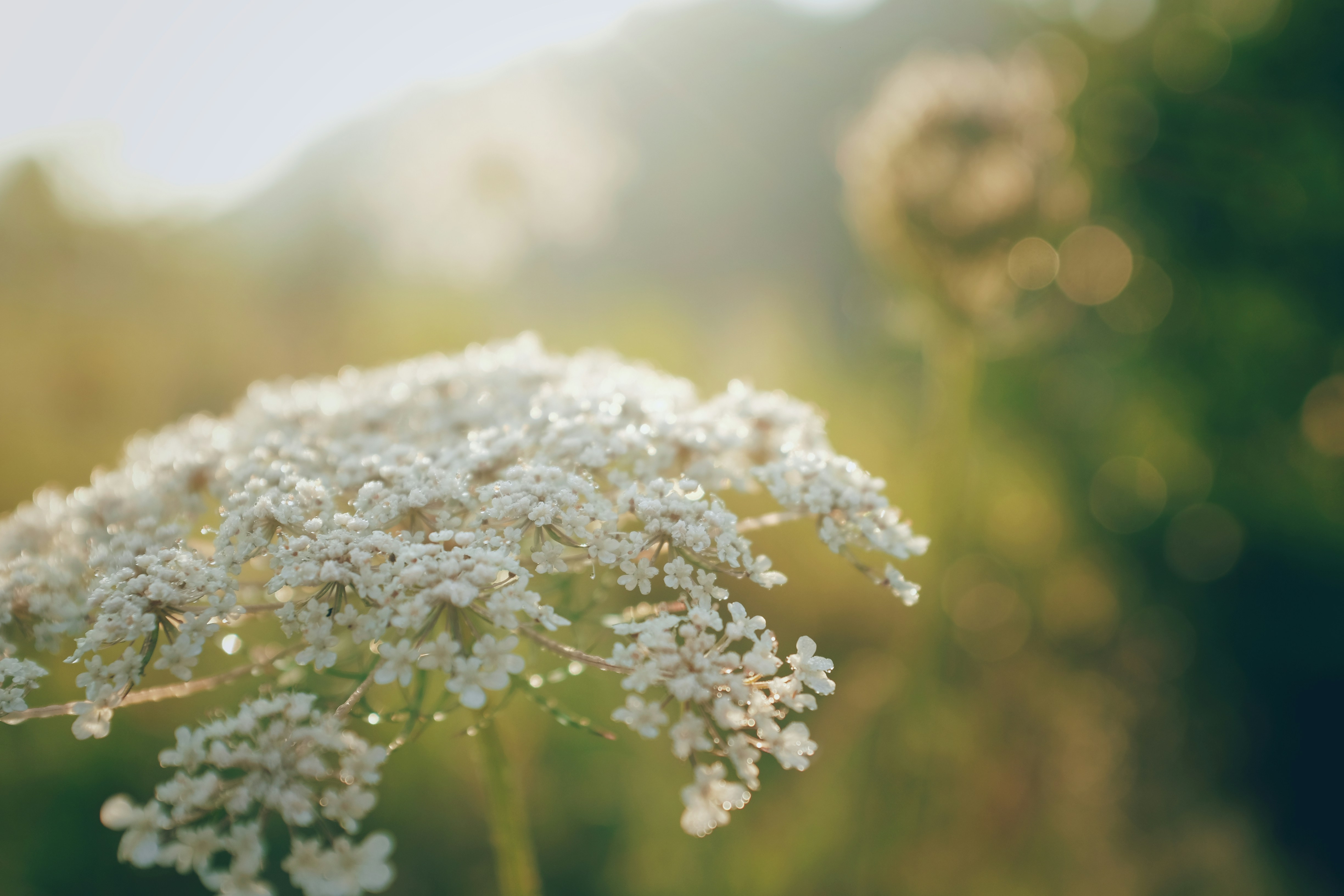 Photo by a_wrong_time_ago