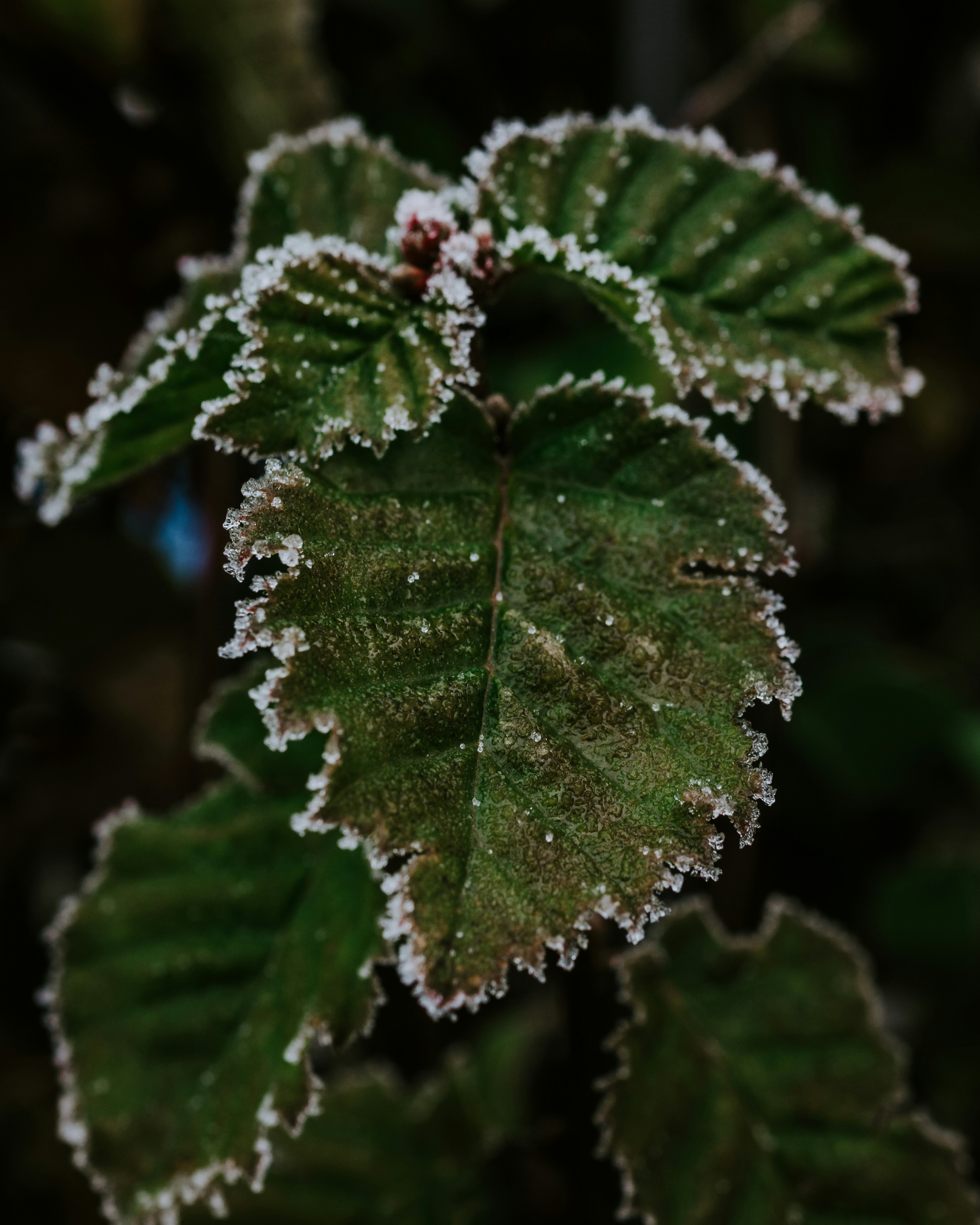 Photo by matthiasoberholzer