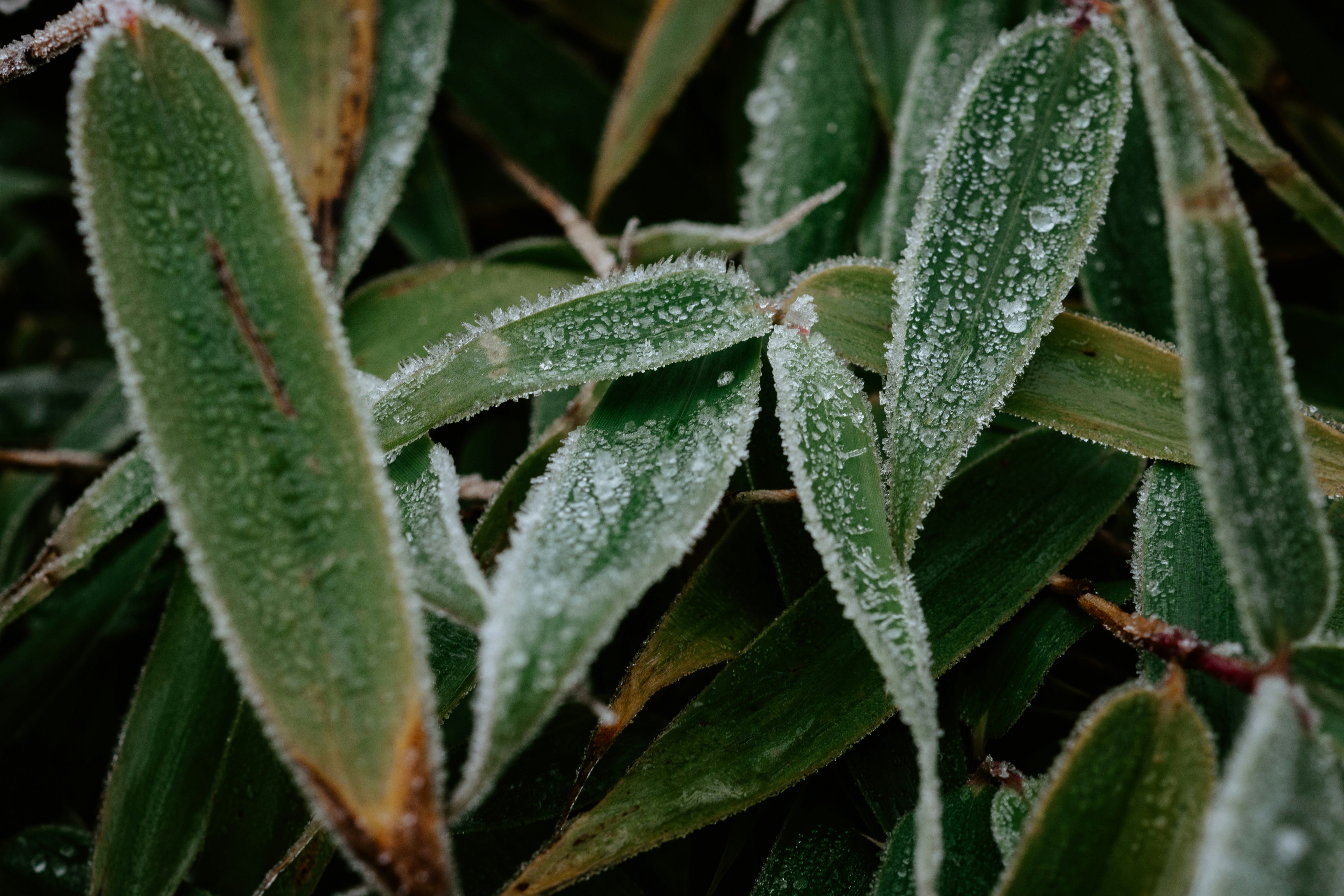 Photo by matthiasoberholzer
