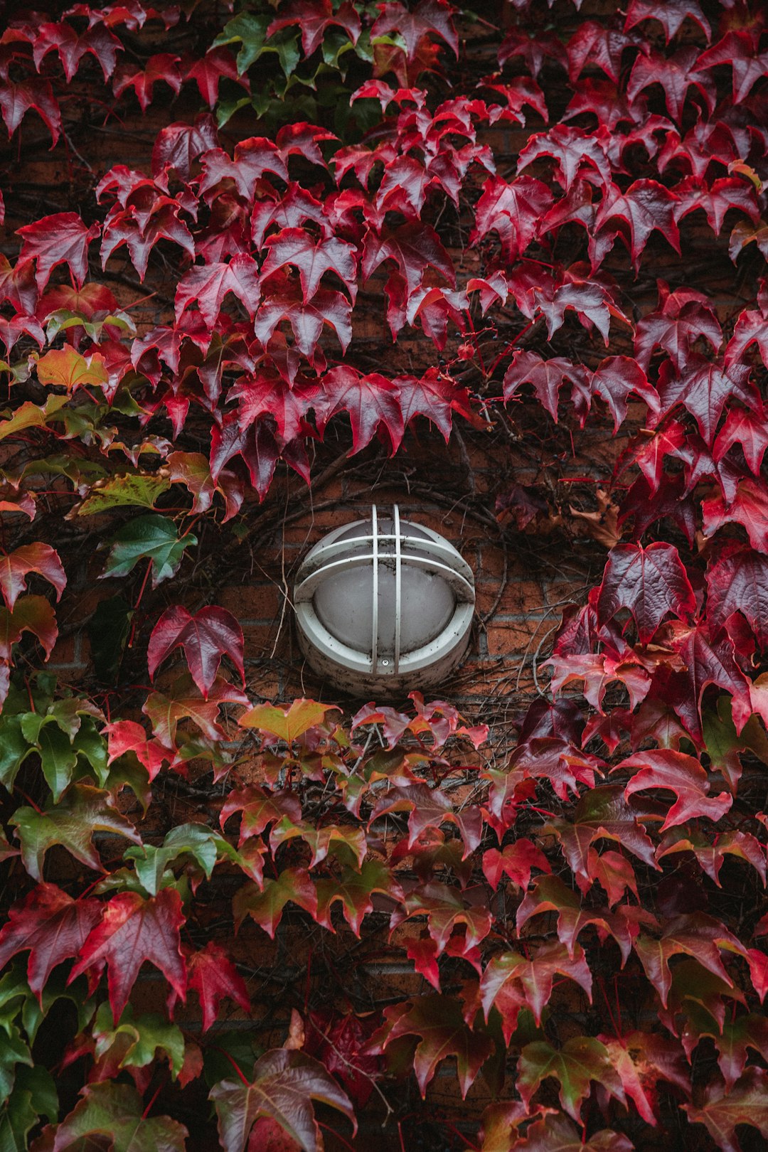 round white wall sconce