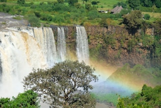 waterfalls during daytime