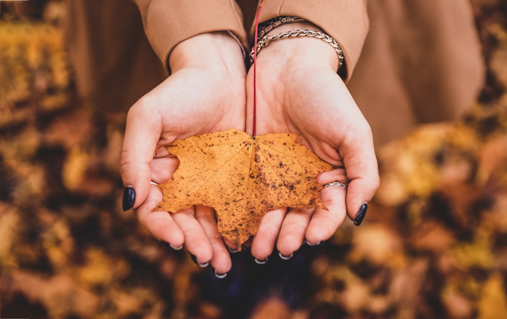 person holding brown powder