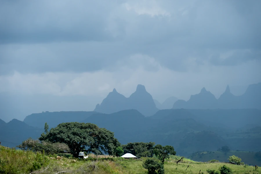 Ethiopia: the northern circuit