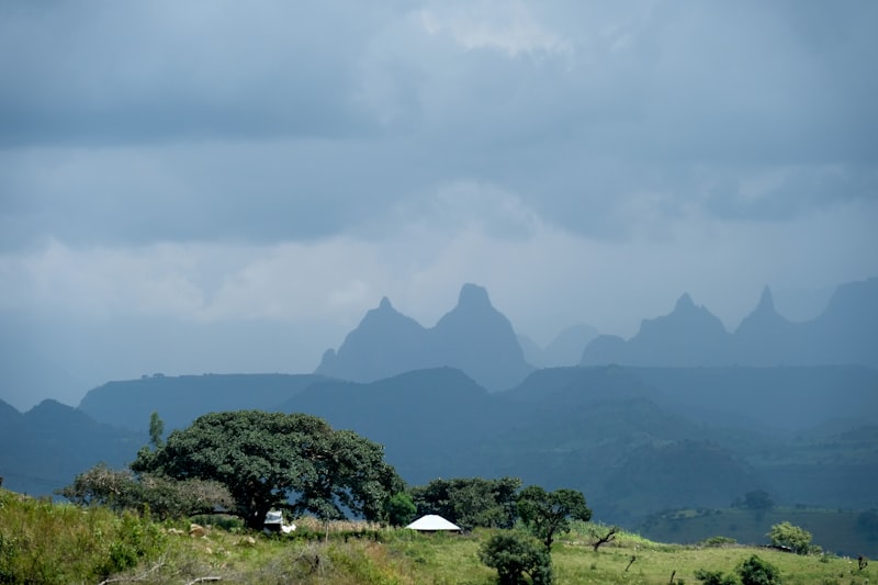Nechisar National Park