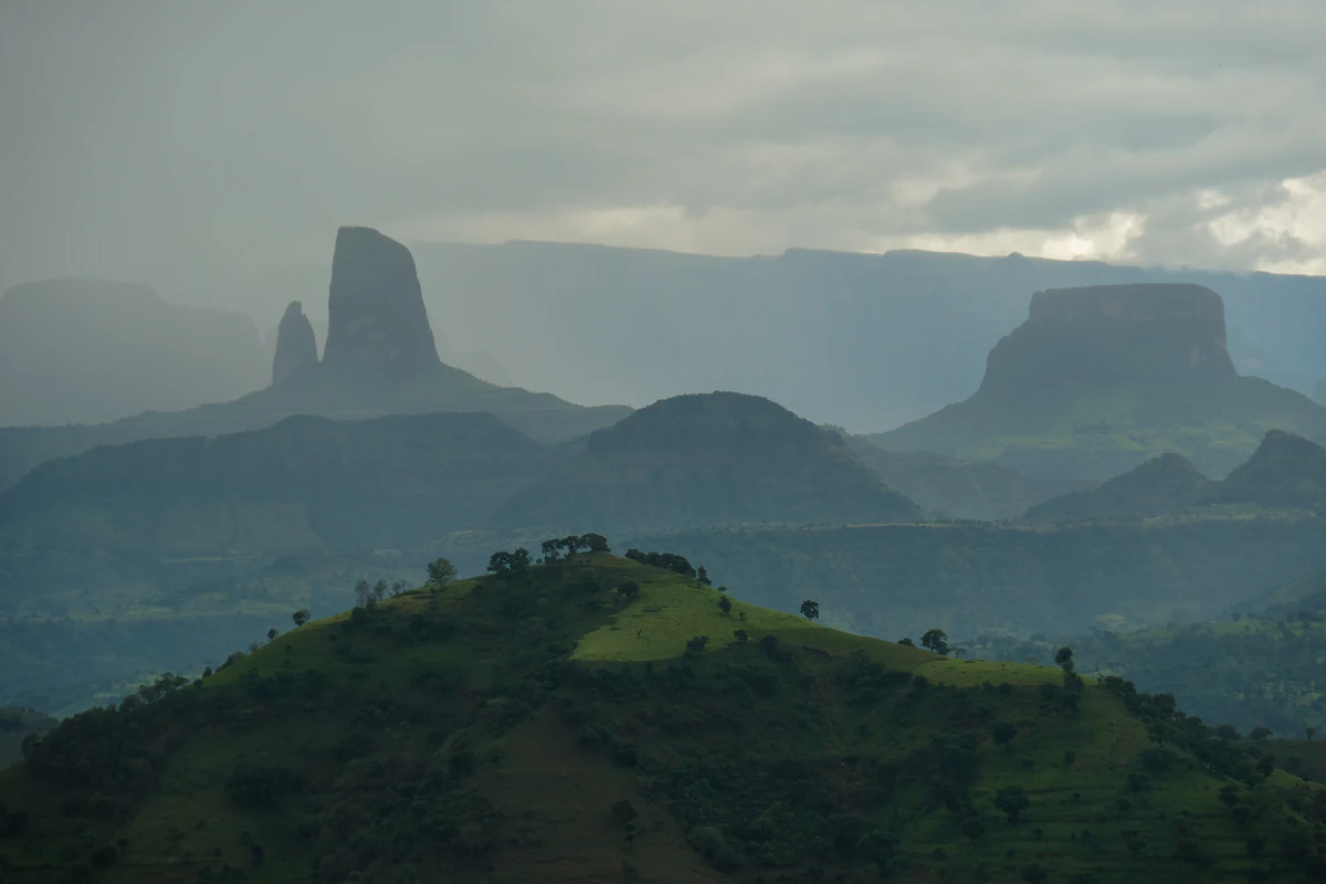 Simien