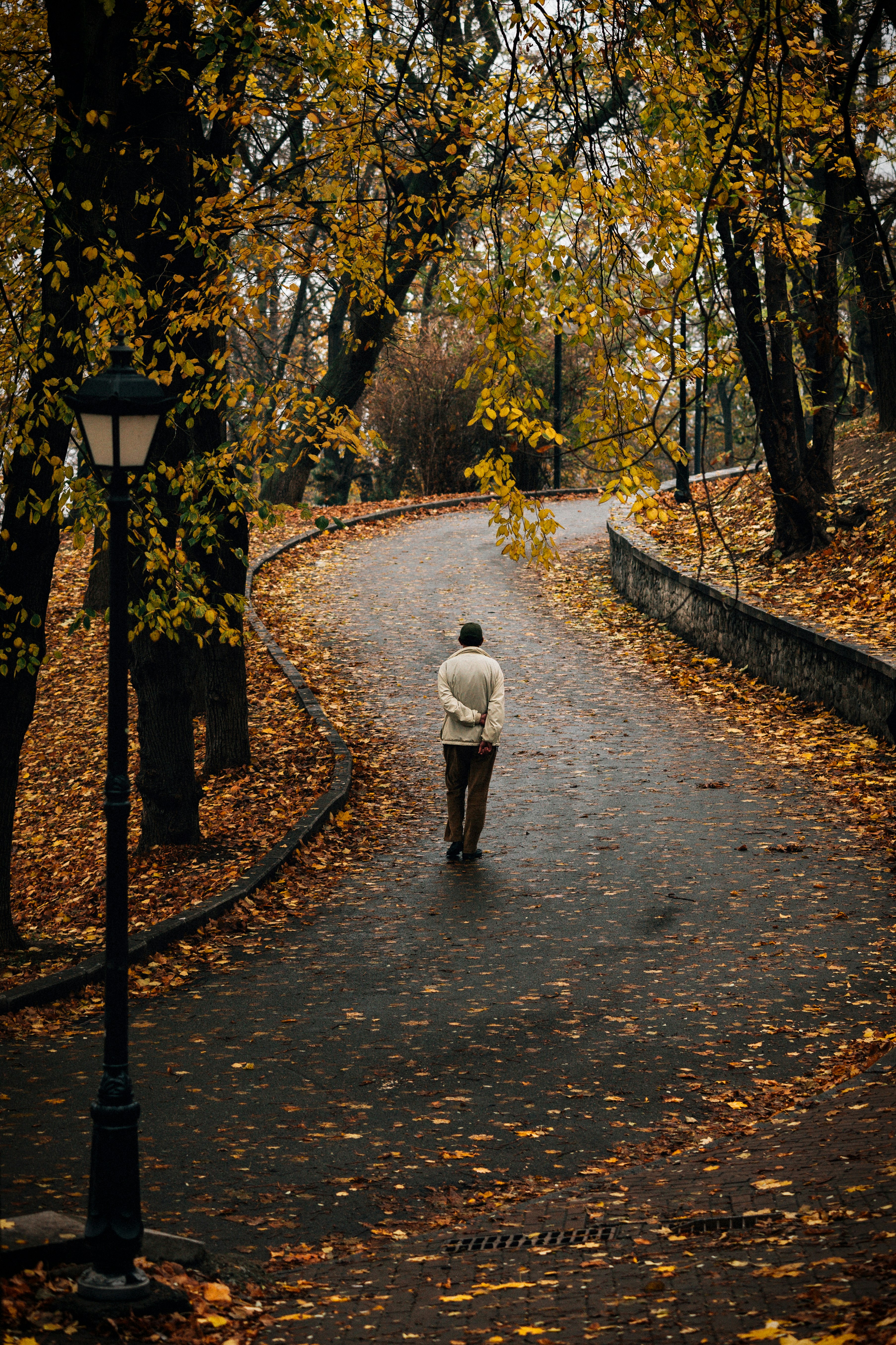 Photo by alexxsvch