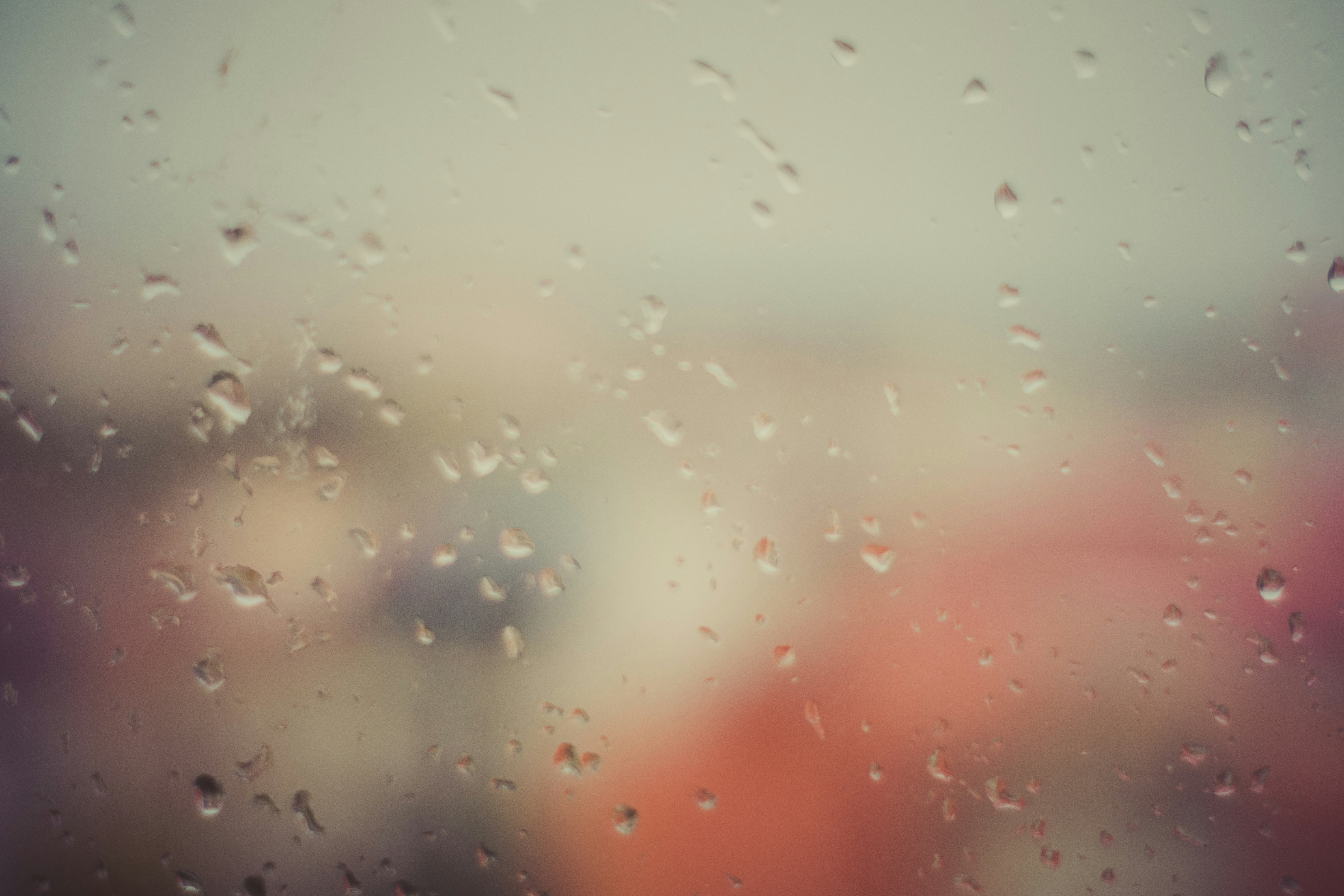 Photo by aperturevintage