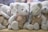 A group of plush teddy bears with blue noses are dressed in checkered brown and cream outfits, sitting closely together on a wooden surface. Each bear has a label attached to its ear, detailing product information.