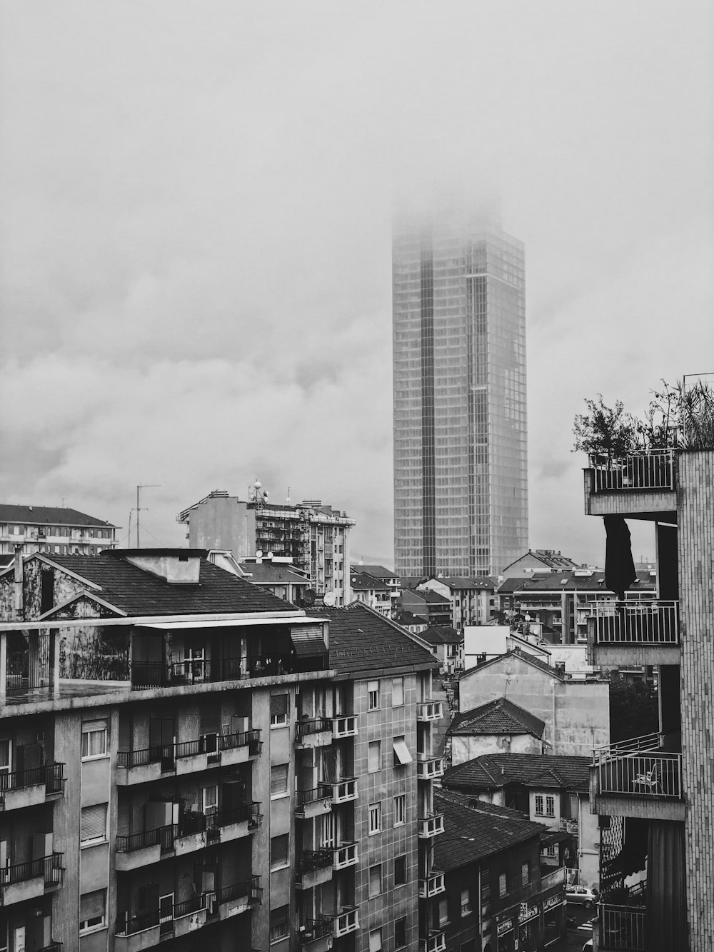 고층 건물과 주택이 있는 도시의 회색조 사진