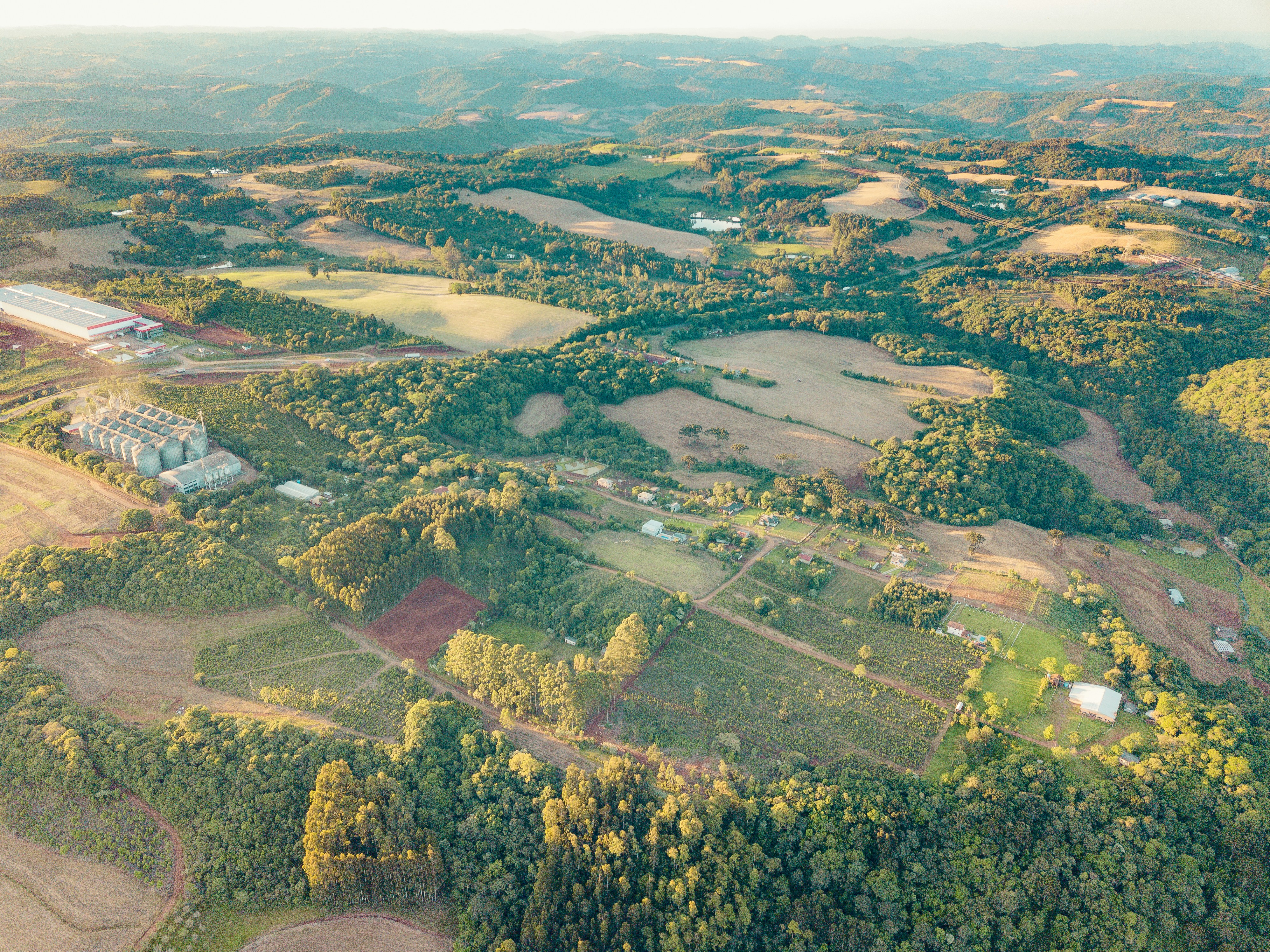 aerial photography of green trees and buildings during daytime