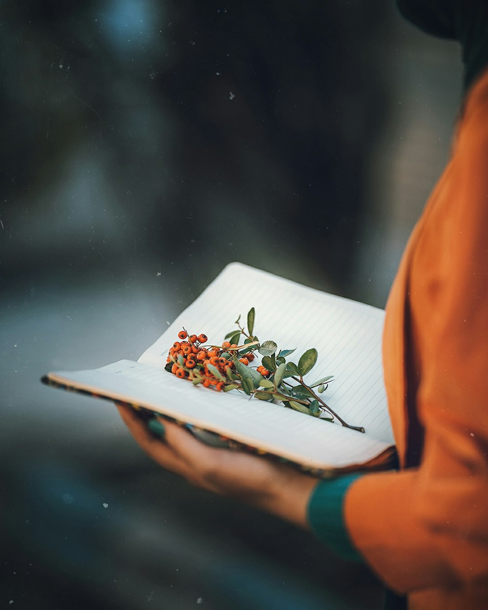 flower on book