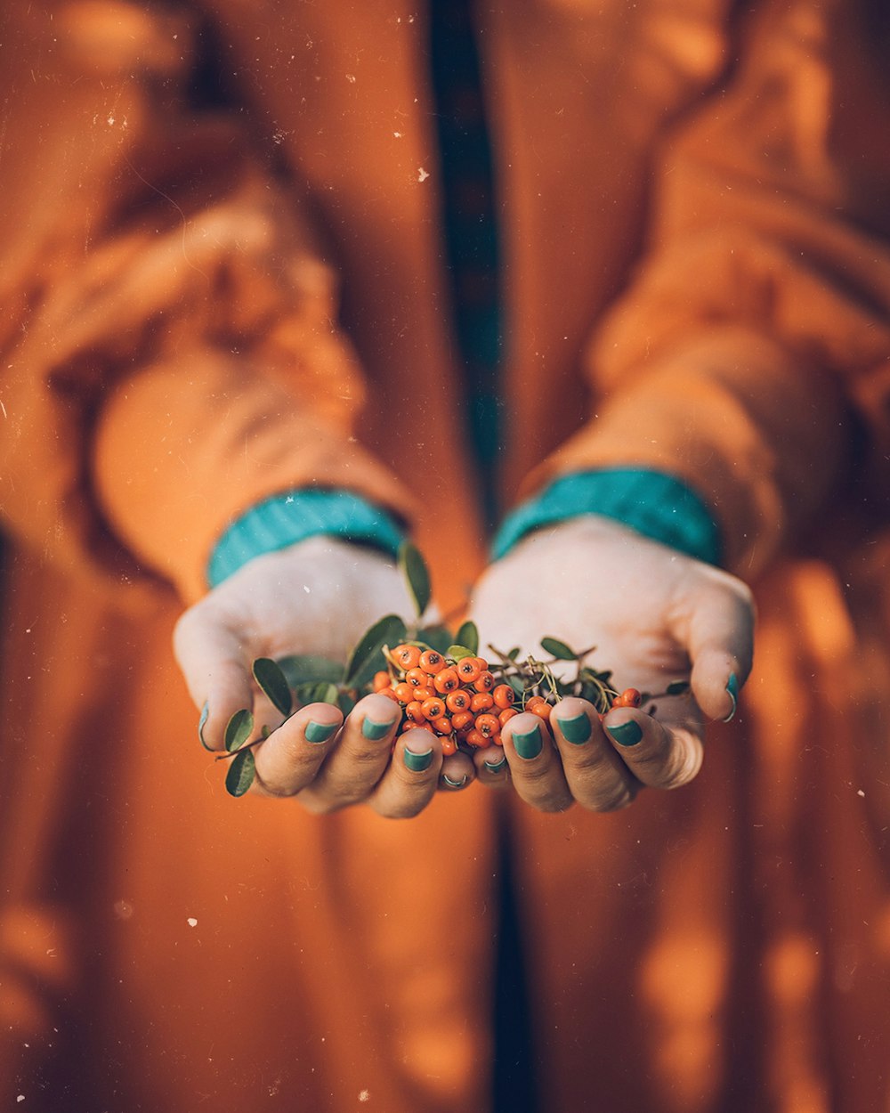 person standing while holding orange berry fruits