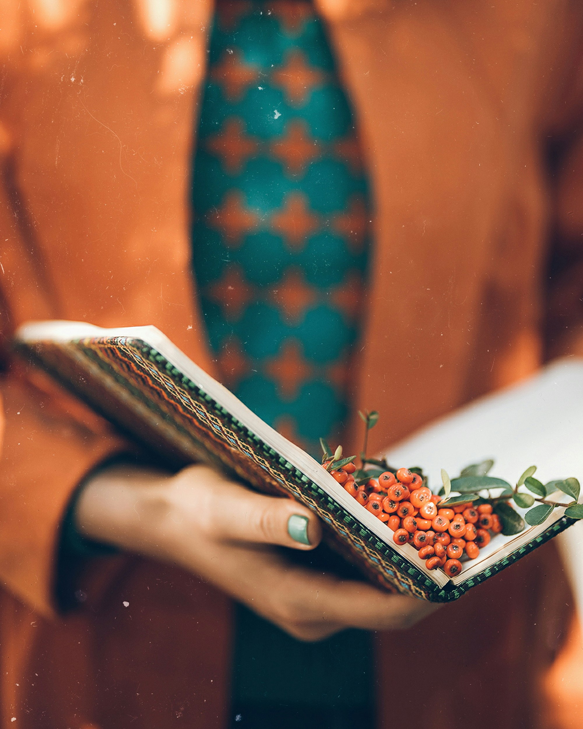 Photo by saeedsoltankhah
