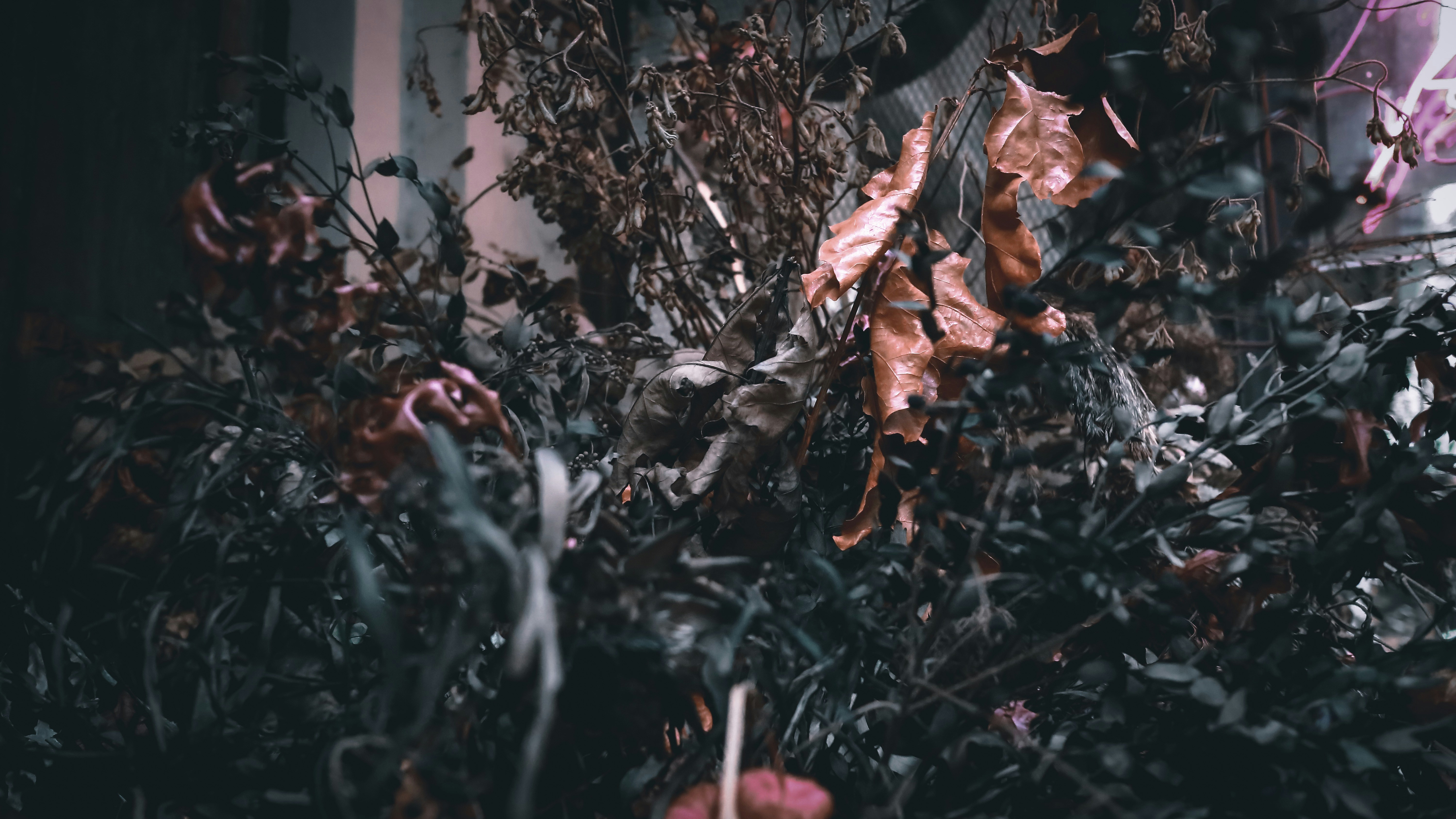 Photo by studios_horizon