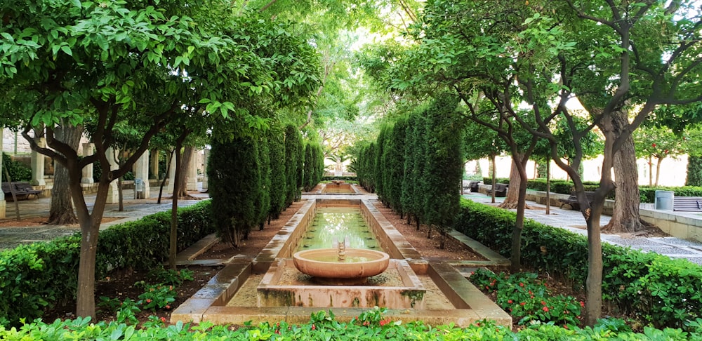 fonte e piscina entre plantas e árvores