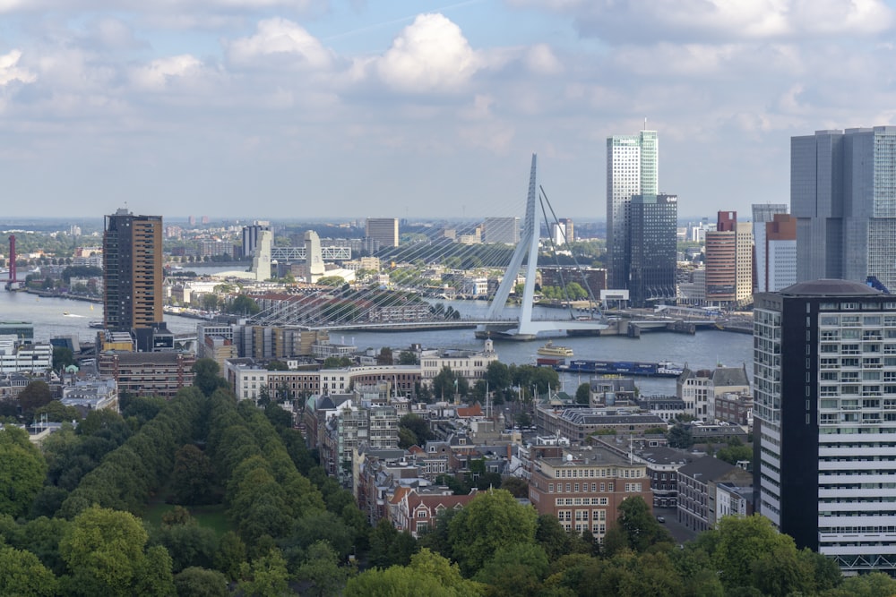 green trees and buildings under white clouds