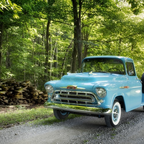 classic blue single cab pickup truck parked beside trees