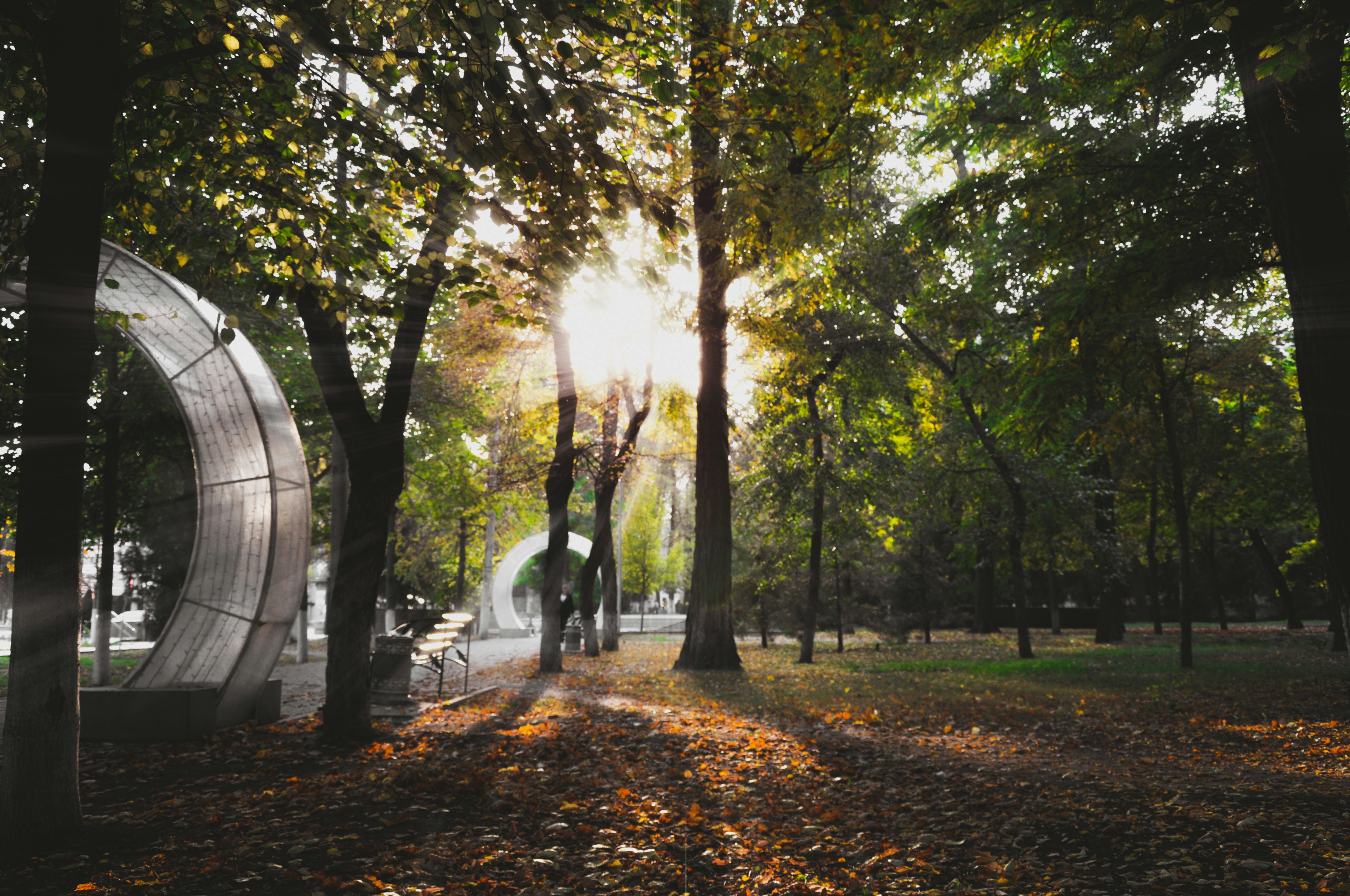 Gray structure beside trees photo – Free Flare Image on Unsplash