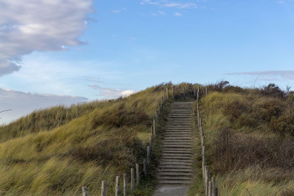 Camino de escalera y campo de hierba