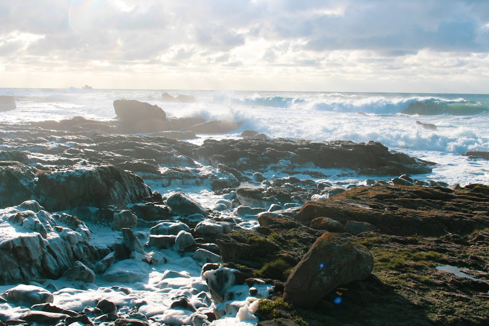 seashore scenery