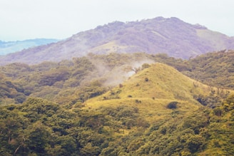 green mountain