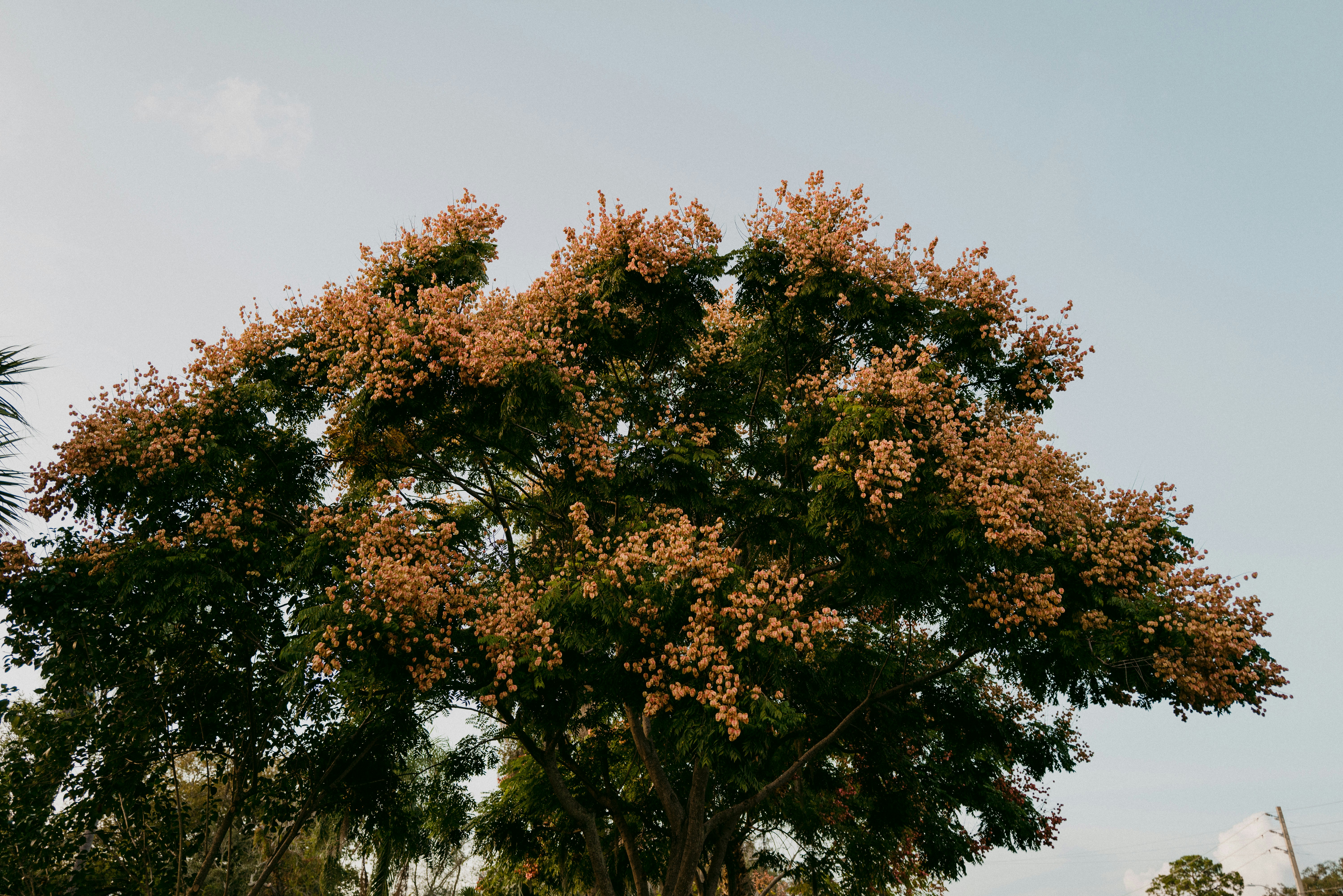 Photo by thoughtandtheory