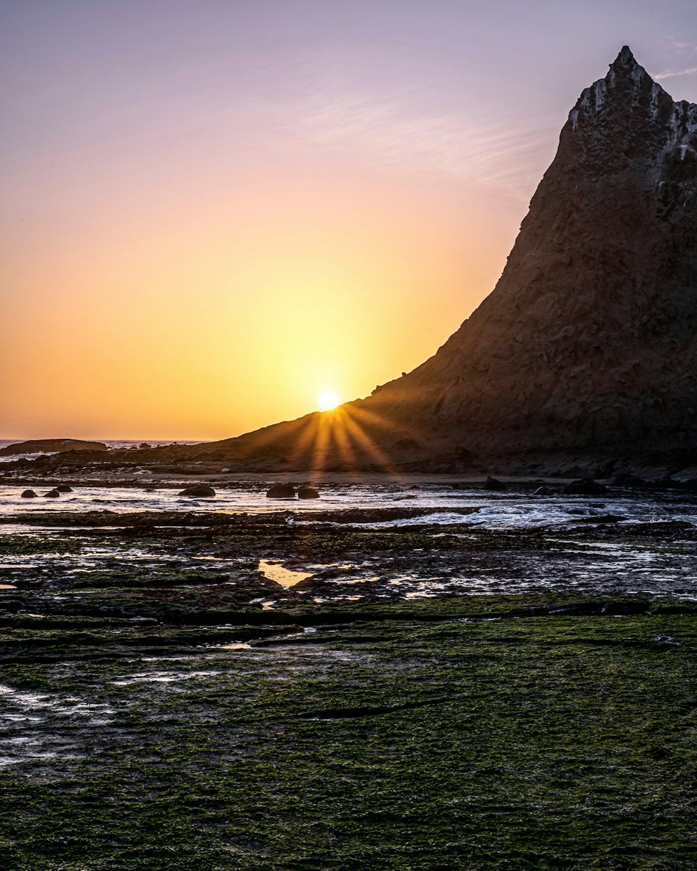 seashore during sunset