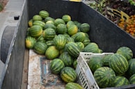 Watermelons packed and ready for delivery at Zoha Fruits Company warehouse.