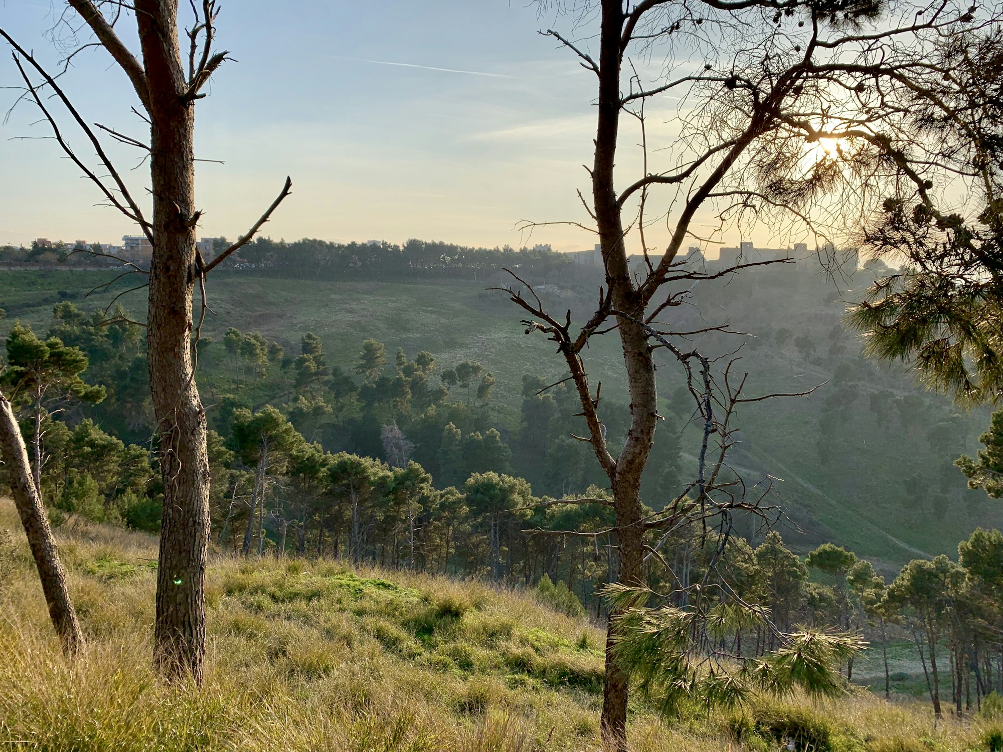 What to See in Lucera: A Geographical and Cultural Travel Guide