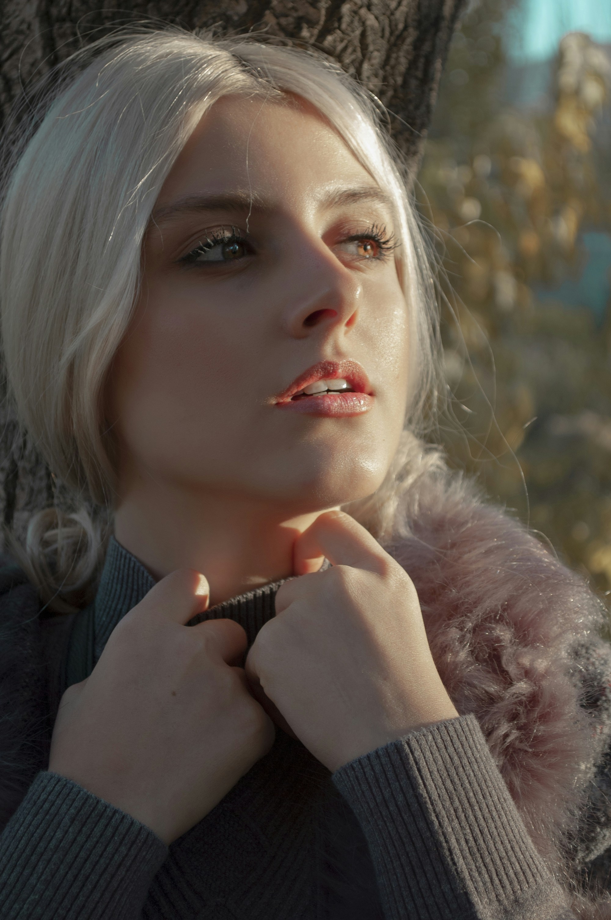 Photo by baranlotfollahi