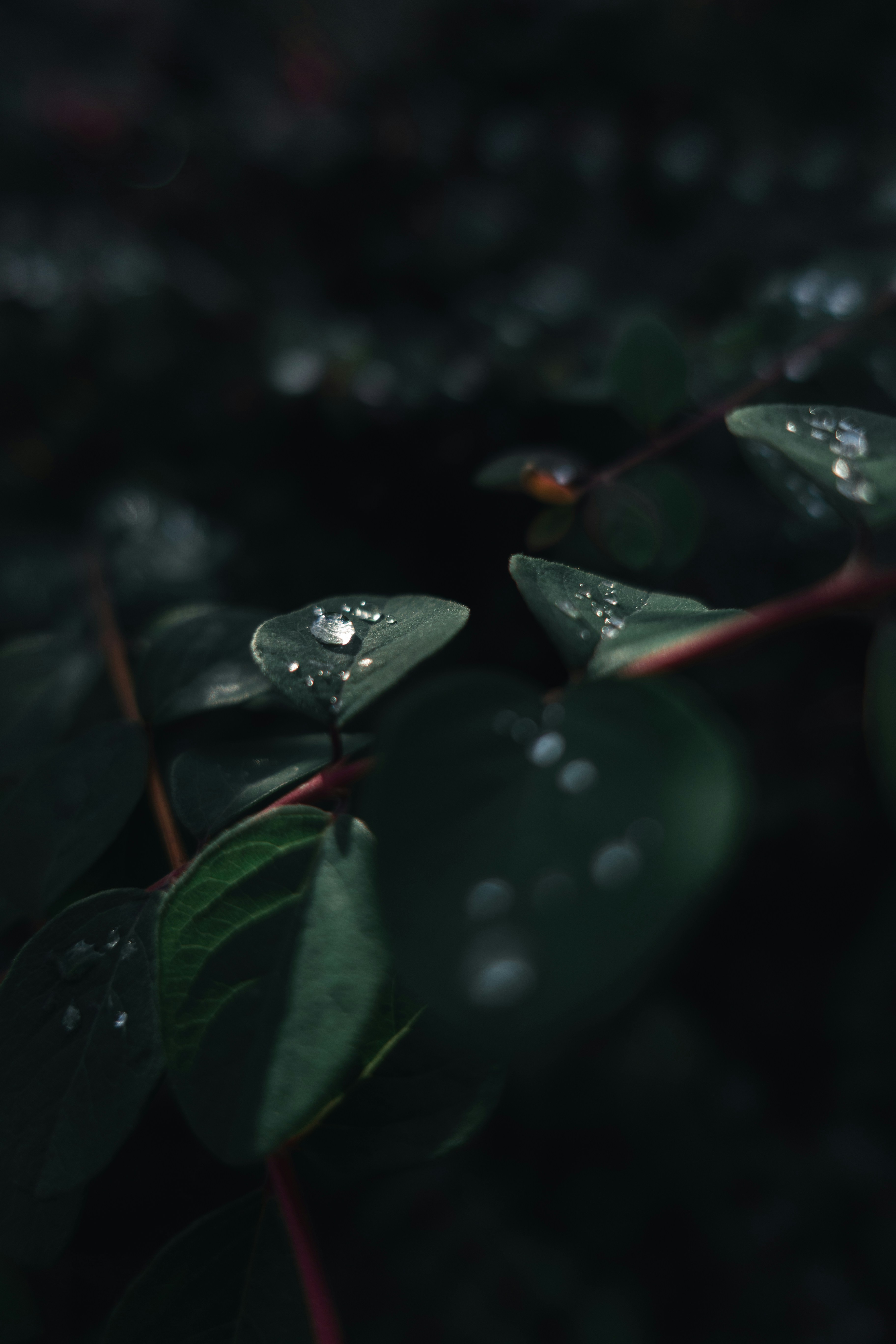 Photo by patrickschoepflin