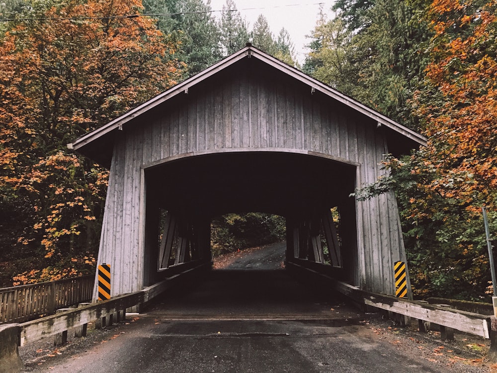 photo of gray wooden tunnel bridge