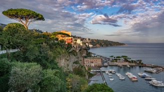 a scenic view of a harbor with boats in the water