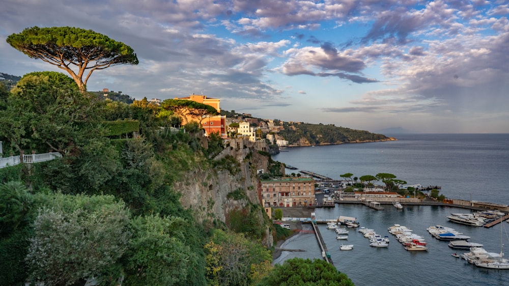 a scenic view of a harbor with boats in the water