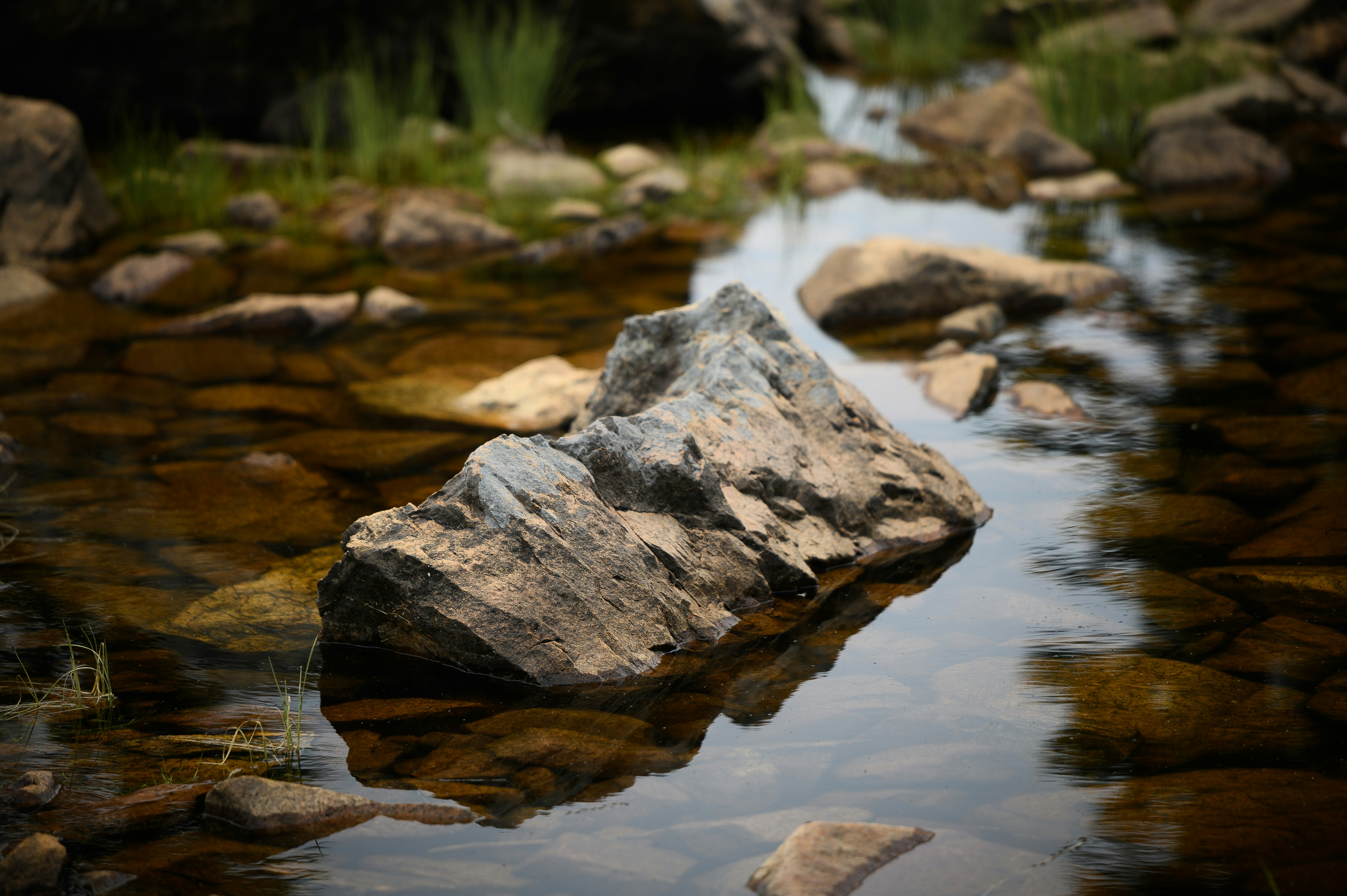 회색과 갈색 돌과 수역