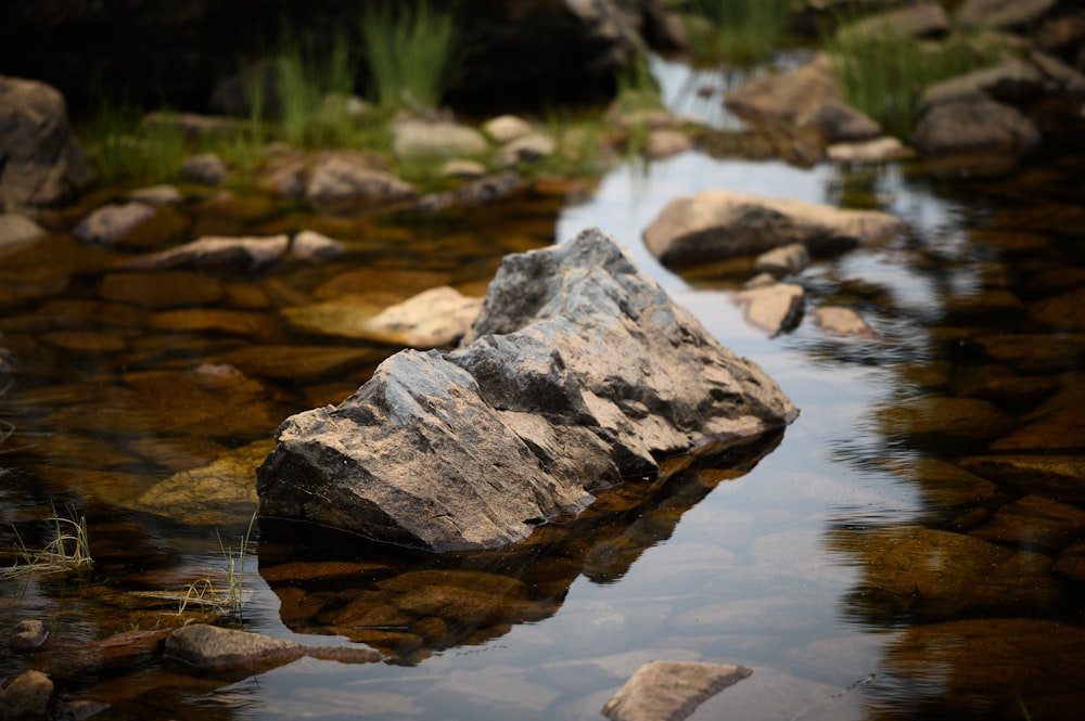 gray and brown stones and body of water