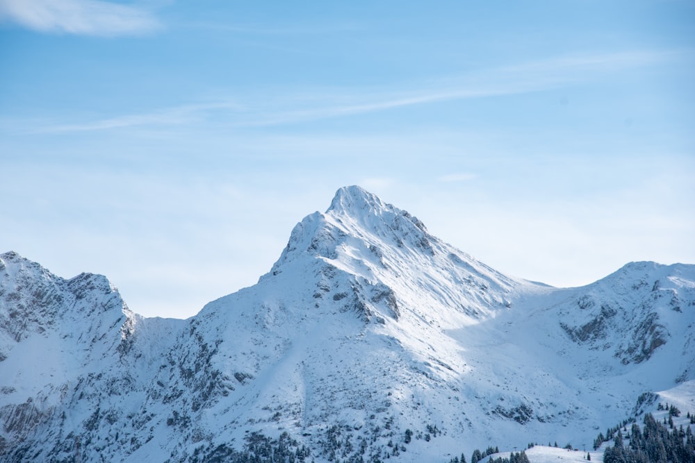 white and gray mountains