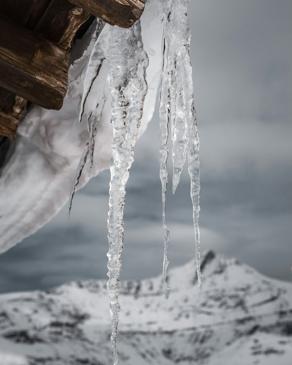 weißes Schneefeld