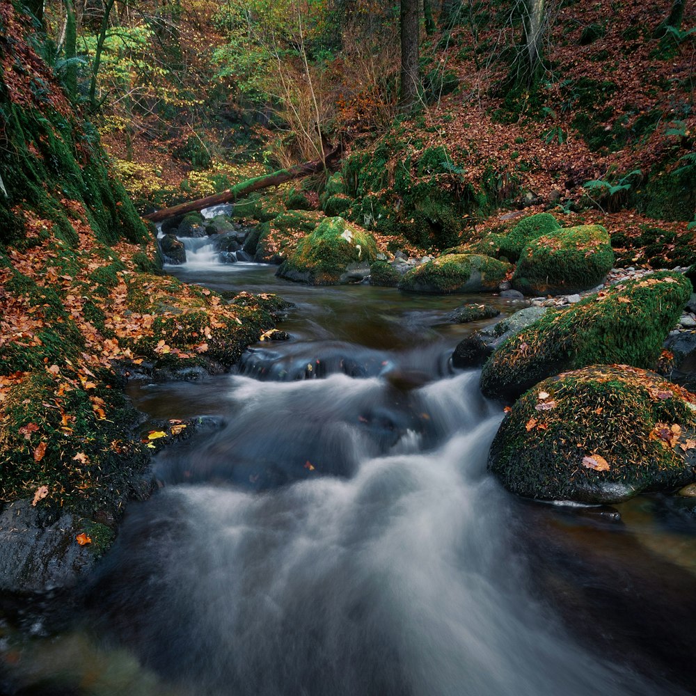 photography of river during daytime