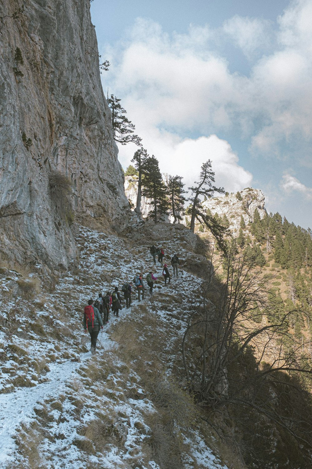 people walking on hill