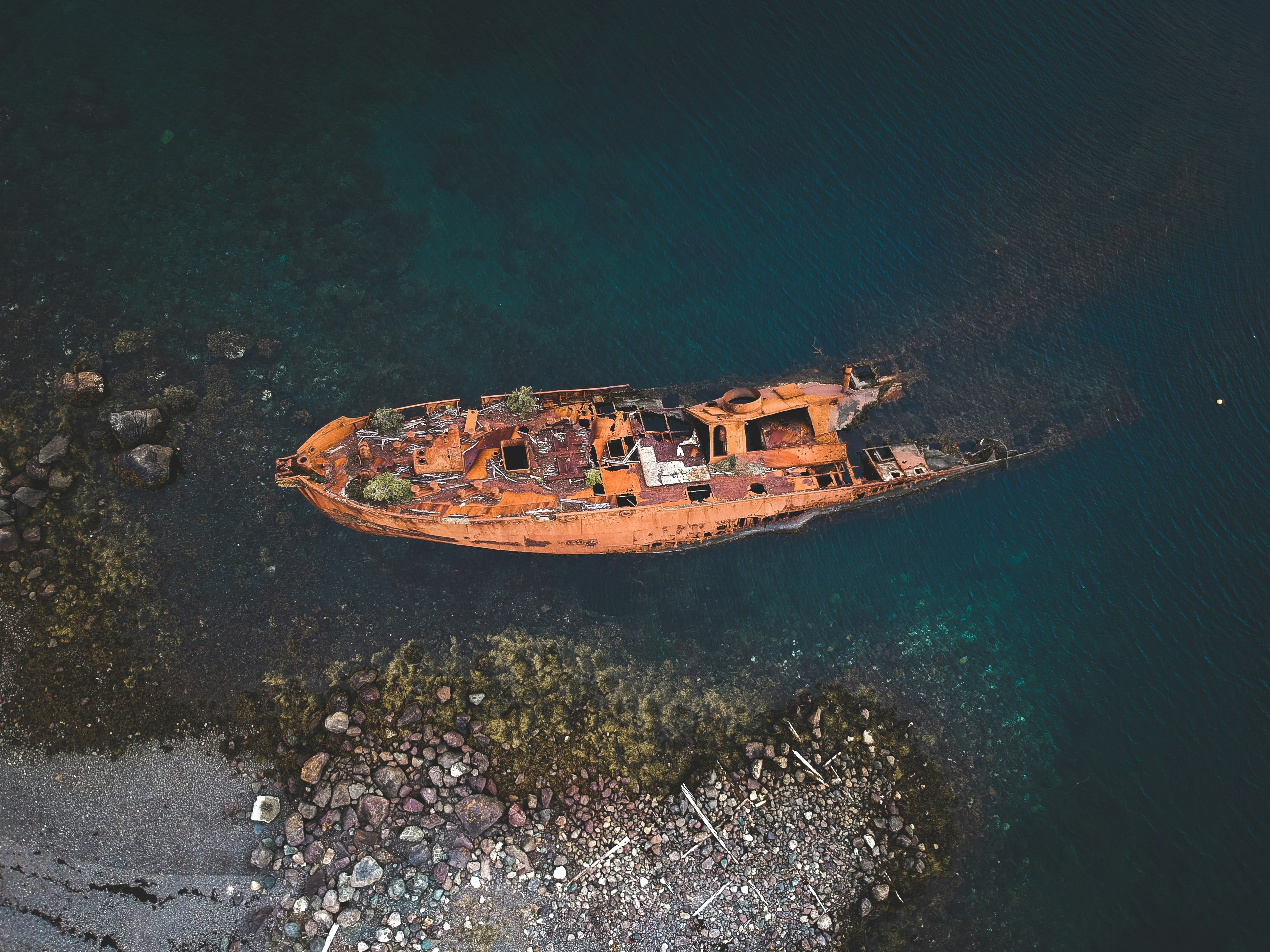 🗣️Announcing our 2022 community meet-up + a discussion thread on climate change and mental health