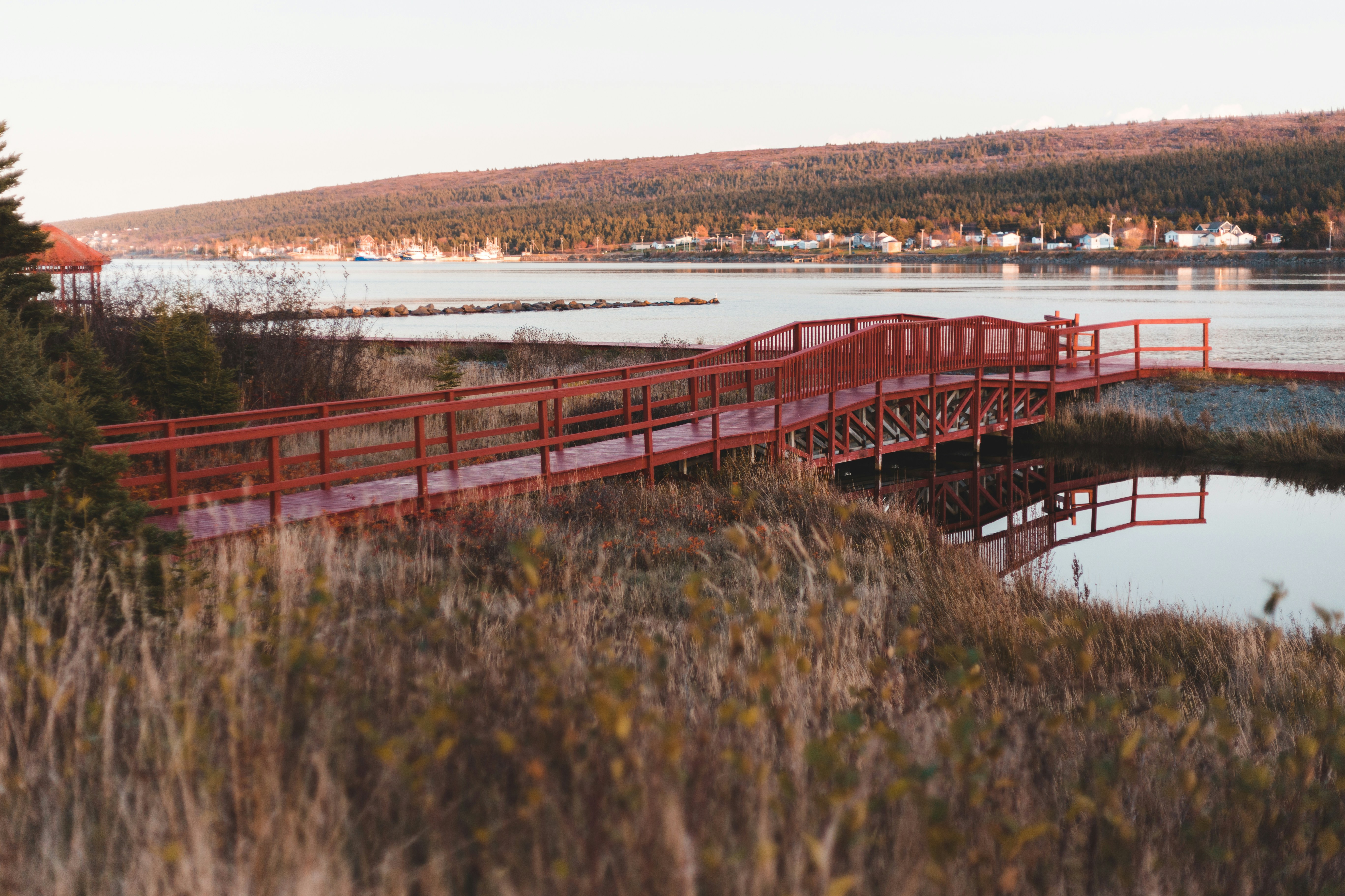 Photo by introspectivedsgn