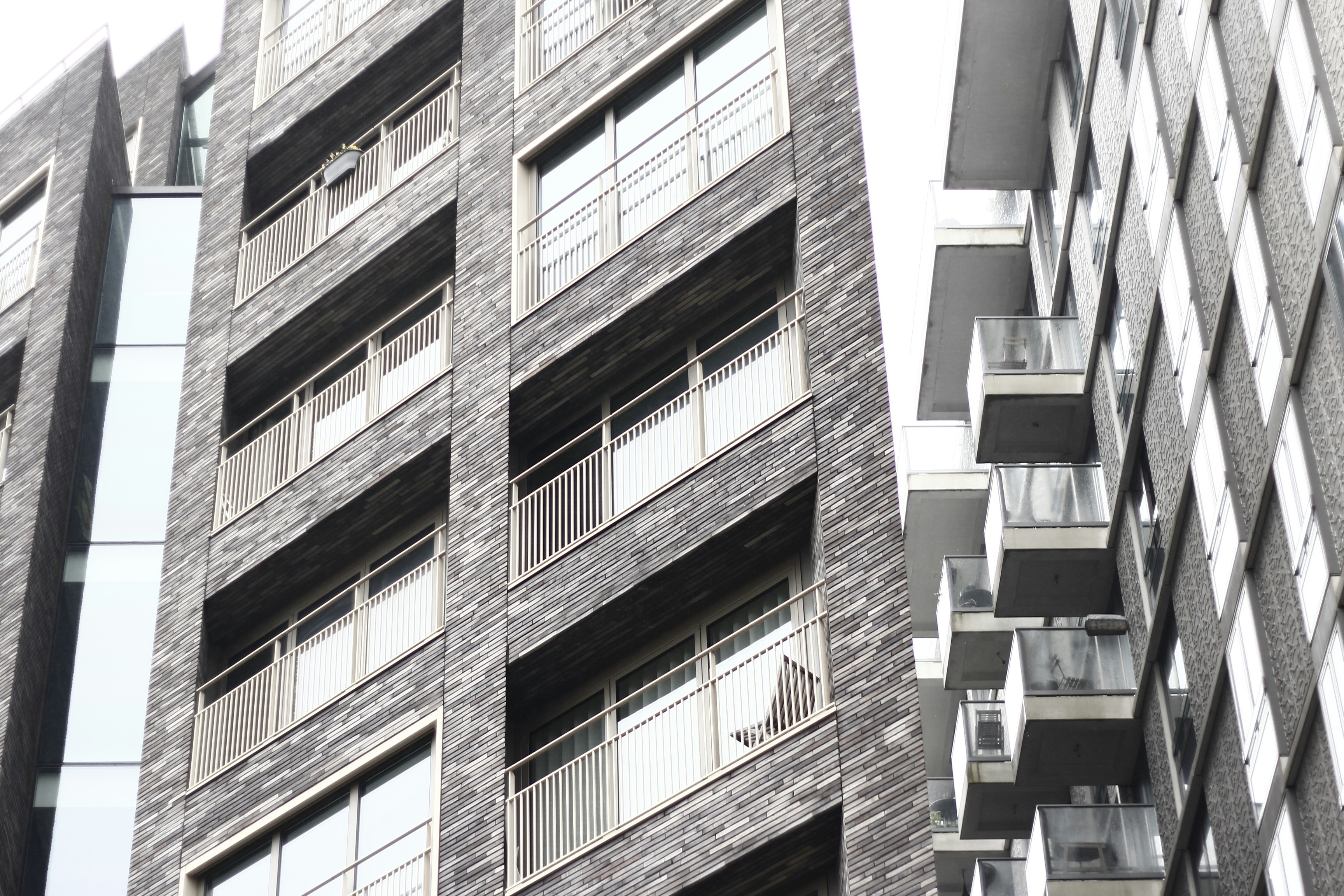 Photo by eduardocanophotoco