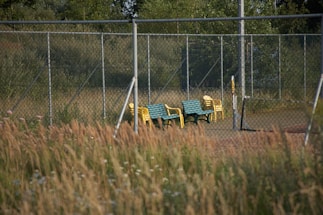 Two benches, one yellow and one green, are positioned alongside a set of yellow stackable chairs on a tennis court. The court is surrounded by a metal chain-link fence and bordered by tall grass and trees in the background, creating a natural and somewhat abandoned appearance.
