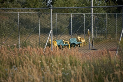 Two benches, one yellow and one green, are positioned alongside a set of yellow stackable chairs on a tennis court. The court is surrounded by a metal chain-link fence and bordered by tall grass and trees in the background, creating a natural and somewhat abandoned appearance.