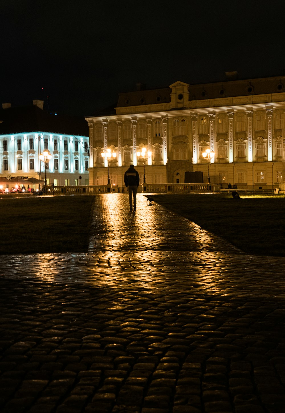 silhouette of person standing on wet pavement