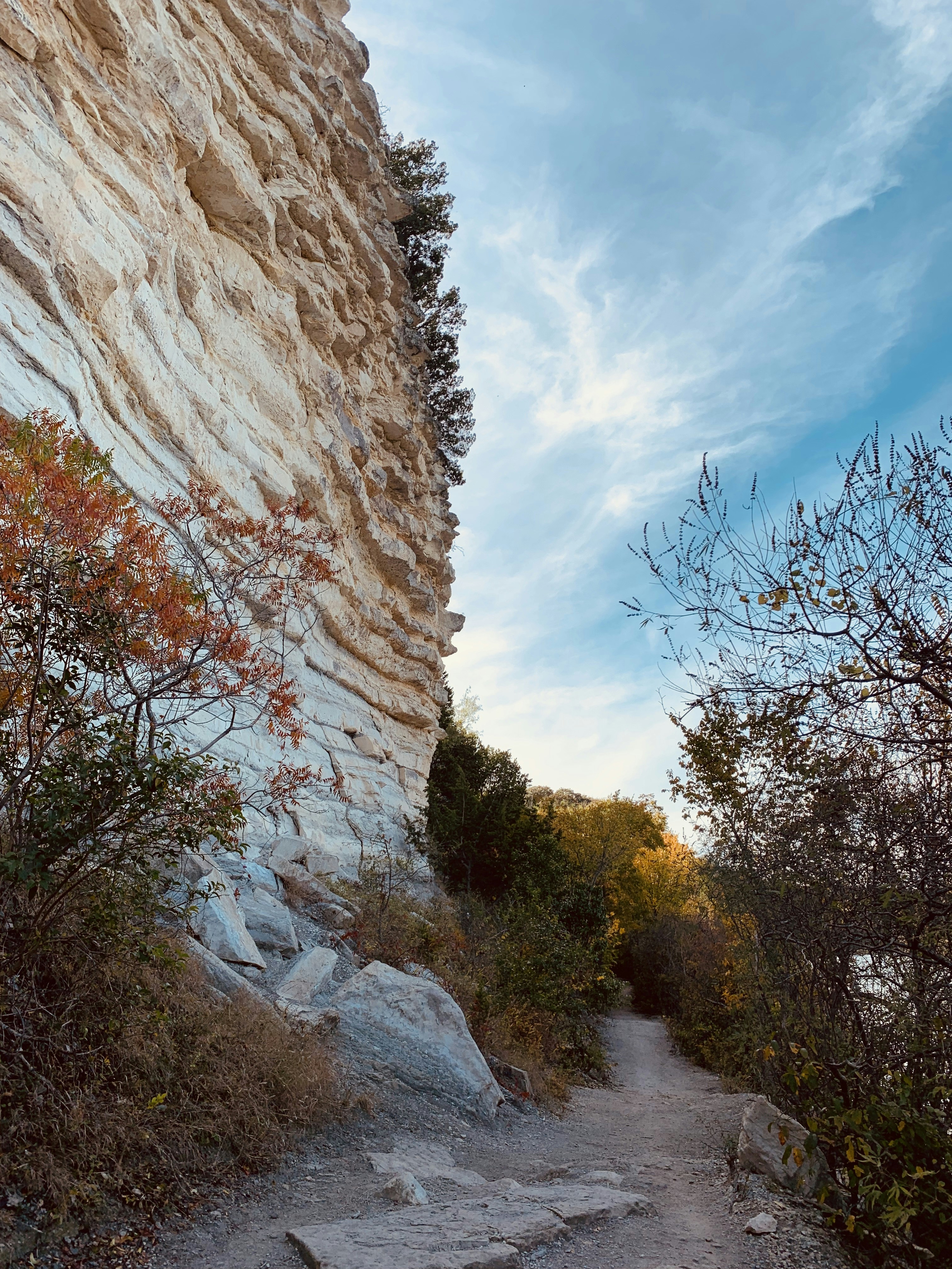 Photo by cami_williams