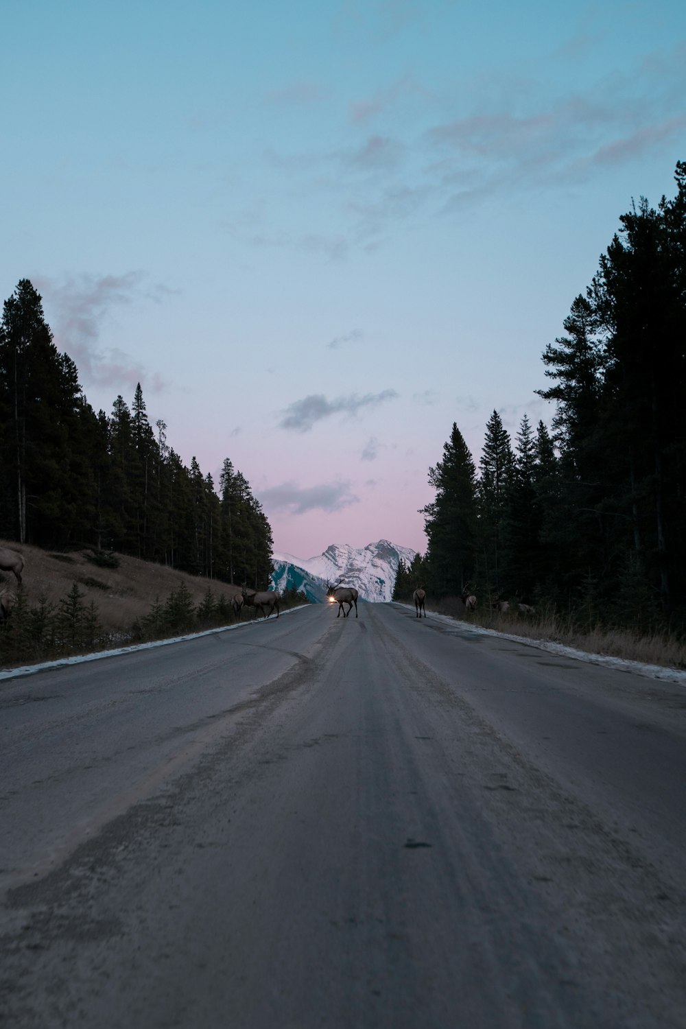 asphalt road scenery